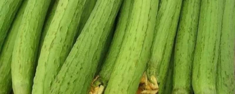 丝瓜要打叉吗(丝瓜要过水吗)