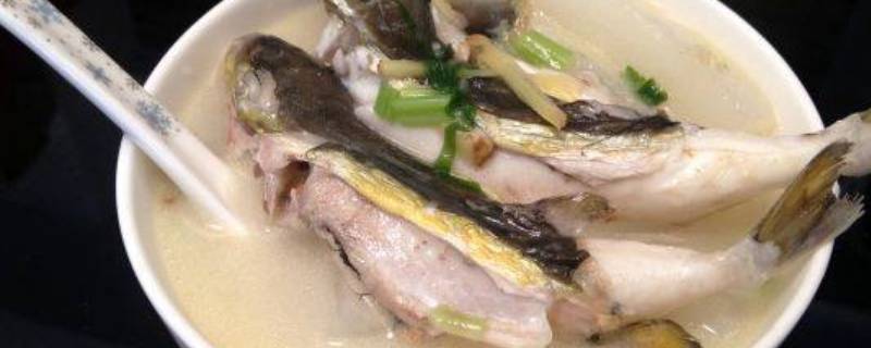 河豚可以做什么菜(河豚可以做什么美食)