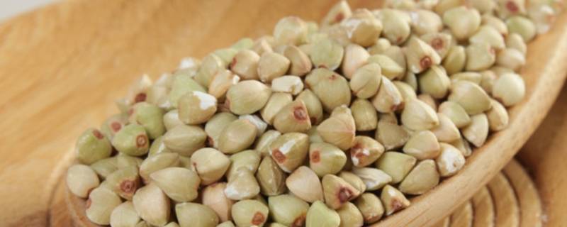 荞麦仁怎么熬粥(荞麦仁搭配什么煮粥最好)