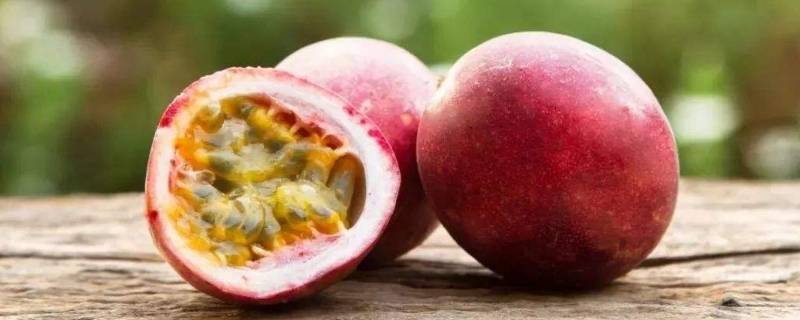 百香果和珍珠奶茶哪个热量高(百香果的热量高还是奶茶的热量高)