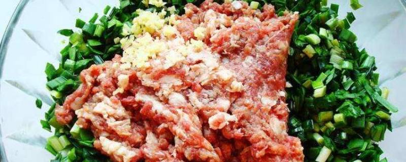 韭菜和羊肉可以包饺子吗(韭菜和羊肉可以同时吃吗)