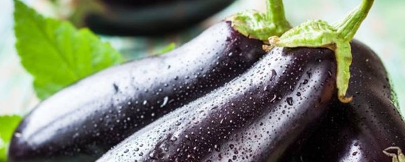 茄子怎么晒干的方法有几种(晒干茄子的做法)