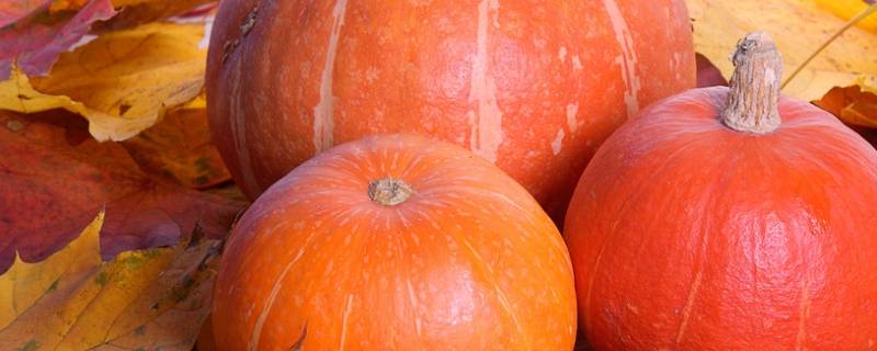 南瓜要煮多久能熟(南瓜要煮多长时间才能熟)