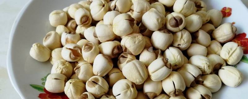 干莲子煮之前要用水泡吗(干莲子煮之前要泡吗)