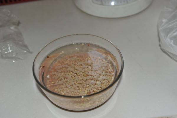 荞麦仁怎么熬粥(荞麦仁搭配什么煮粥最好)