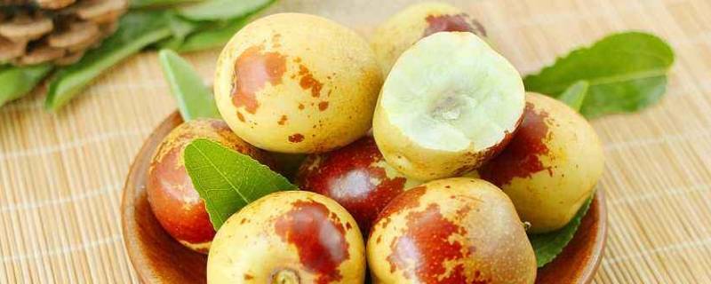 新鲜的冬枣能不能吃(没熟的冬枣可以吃吗)