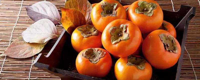 柿子放外面晒太阳会熟吗(太阳底下暴晒的柿子能吃吗)