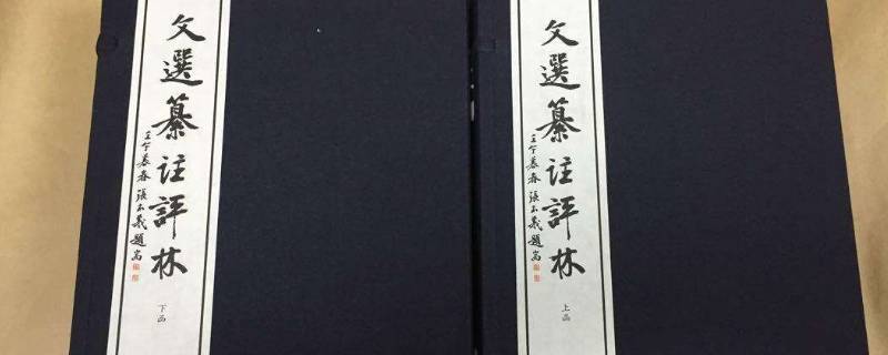 昭明文选的编撰者是谁(昭明文选是哪个作者写的)