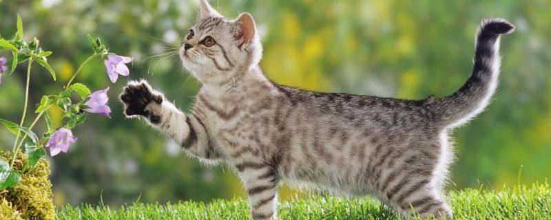 快递可以寄行李箱吗(快递可以寄刀吗)