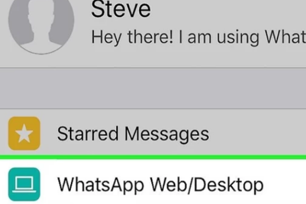 whatsapp怎么复制消息(whatsapp的消息不能复制怎么办)