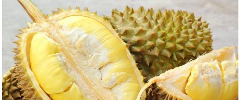 榴莲没熟怎么吃(榴莲没熟烤箱烤几分钟)