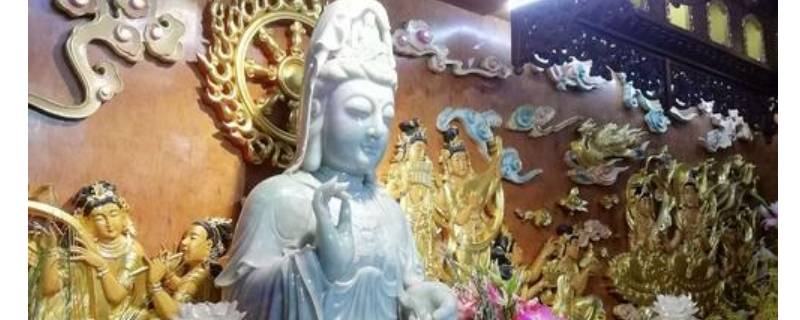 菩提祖师是谁推荐的(菩提祖师是谁为何连如来都不敢问)
