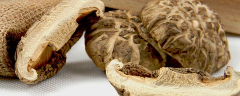 干香菇长虫怎样才能弄干净(干香菇生虫子怎样处理)