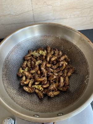 知了的吃法与营养价值(知了怎么吃营养价值最高)