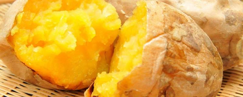 蒸熟的红薯能放多久(红薯多久能蒸熟普通锅)