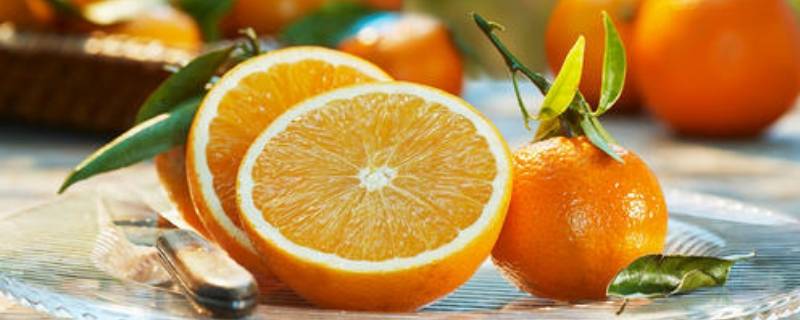 摘下来桔子催黄用什么药(桔子怎么催黄催熟)