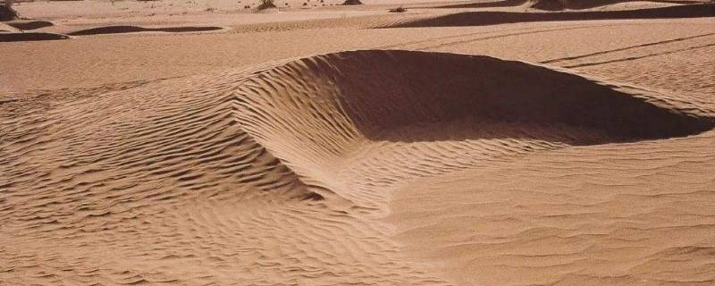 土地沙漠化的直接危害(土地沙漠化公益广告)