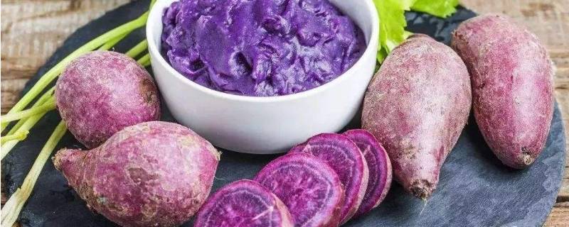 买多了紫薯怎么保存(紫薯多了怎么保存)