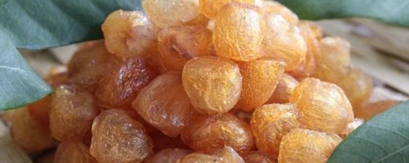 晒龙眼肉正确的方法(晒龙眼肉正确的做法)
