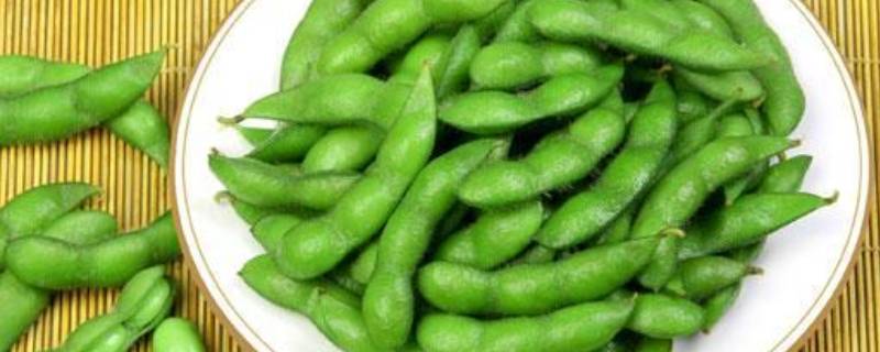 干豆角煮多长时间(毛角豆煮多久)