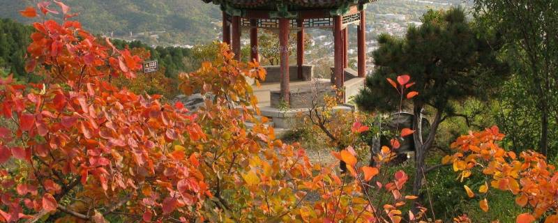 香山在哪区(香山在哪预约门票)