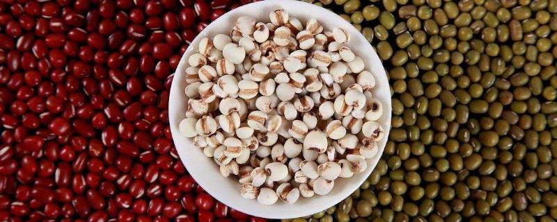 薏米是不是要炒了再煮(薏米煮熟的热量高吗)