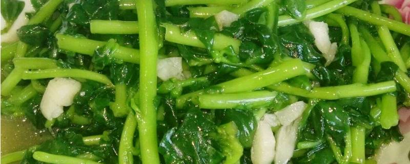 马齿苋凉拌能多吃吗(怎么样炒马齿苋)