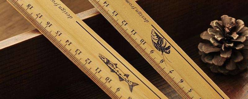 身体上的尺子有哪些(尺子上有些什么)