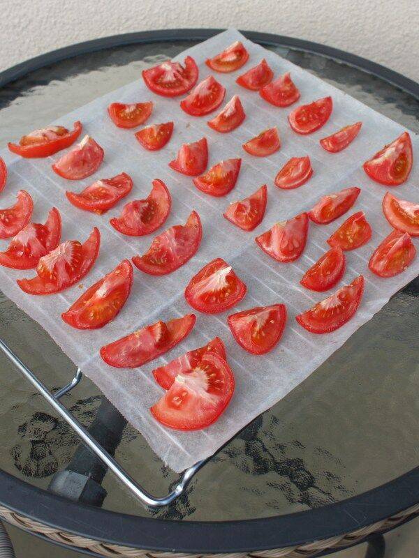 西红柿干怎么晒不发黑(西红柿干枯病害图片)