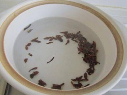 蕨麻怎么吃建议收藏(蕨麻怎么吃最好吃)
