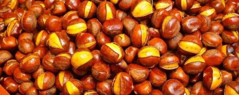 板栗晒干能存放多久(板栗晒干能保存多久)