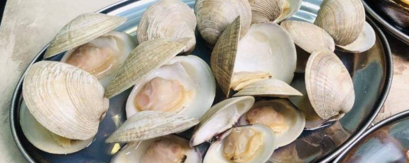 青蛾汤要冷水下锅吗(青蛾肉片汤的做法大全)