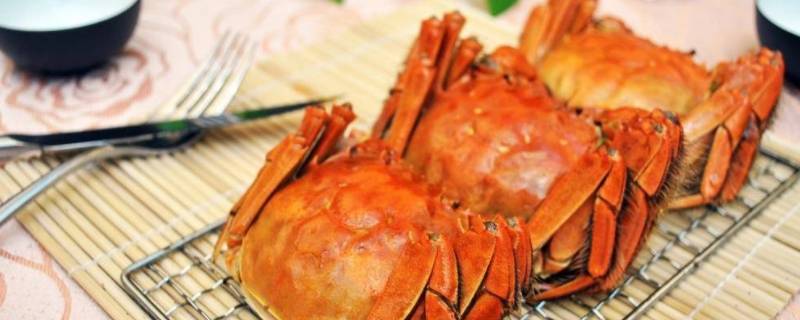 大闸蟹能用水养吗(大闸蟹用什么水养最好)