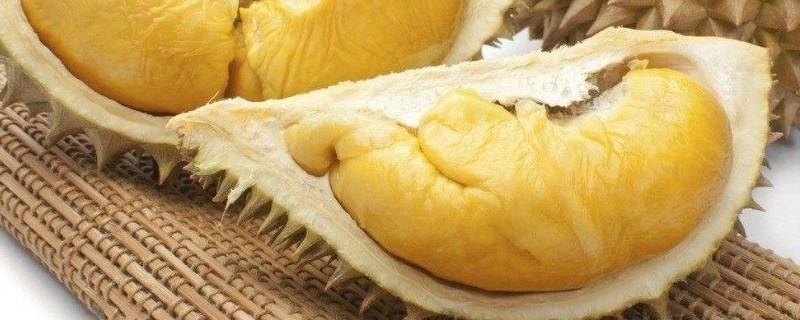 有苦味的榴莲能吃吗(有点苦的榴莲能吃吗)