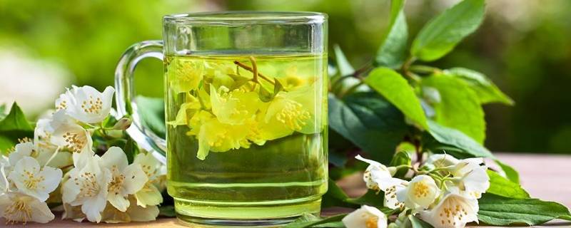 百合花能和茉莉花一起泡水喝吗(百合茉莉花茶有什么功效)