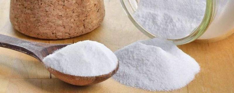 小苏打能代替淀粉使用吗(小苏打能代替泡打粉做开口笑吗)