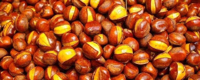 栗子有虫子吗(板栗虫能生吃吗)