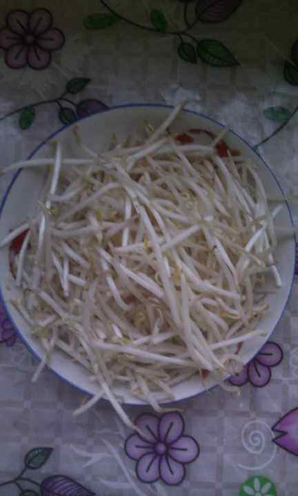 绿豆芽怎么炒(绿豆芽怎么炒家常)