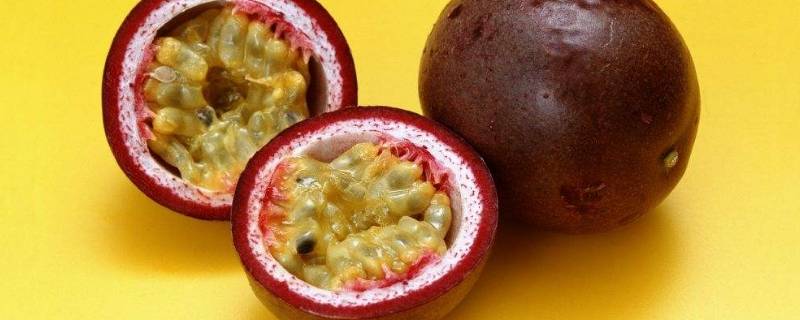 百香果和蜂蜜的配比方法(百香果柠檬蜂蜜比例)