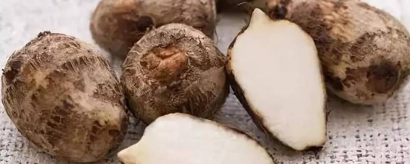 芋头可以用微波炉蒸吗(芋头可以用微波炉烤吗)