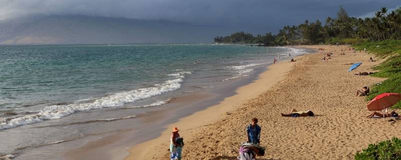 夏威夷果树是哪个国家的(夏威夷在哪个国家)