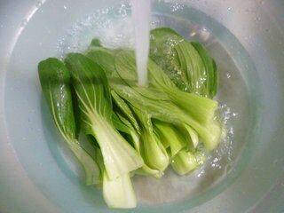 青菜萝卜炒什么好吃(萝卜青菜怎么炒)