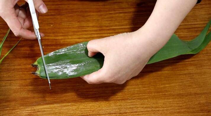 肉粽子是怎么腌制的(肉粽子制作方法和配料)
