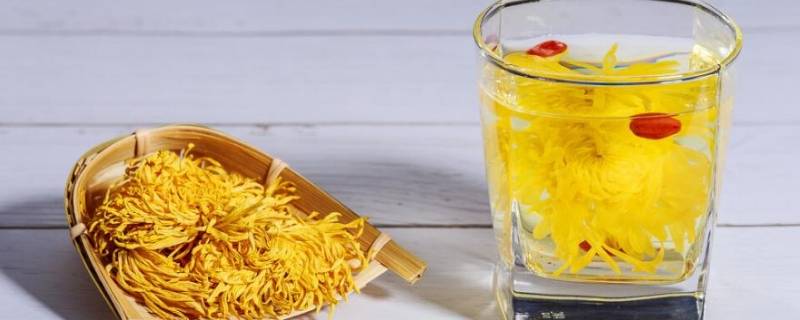 菊花种类乒乓菊(黄菊花叫什么菊)