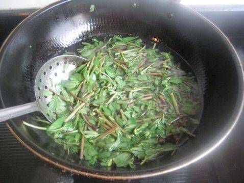 马齿苋凉拌能多吃吗(怎么样炒马齿苋)
