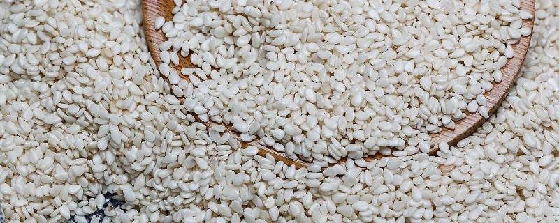 炒白芝麻怎么炒视频(炒白芝麻怎么炒香)