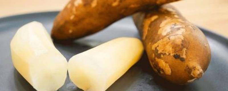 雪莲果怎么保存放冰箱(雪莲果怎么保存才能放的久)