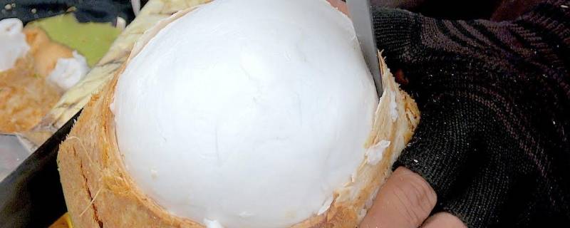 椰子肉怎么吃对孕妇好(椰子肉怎么吃好吃)