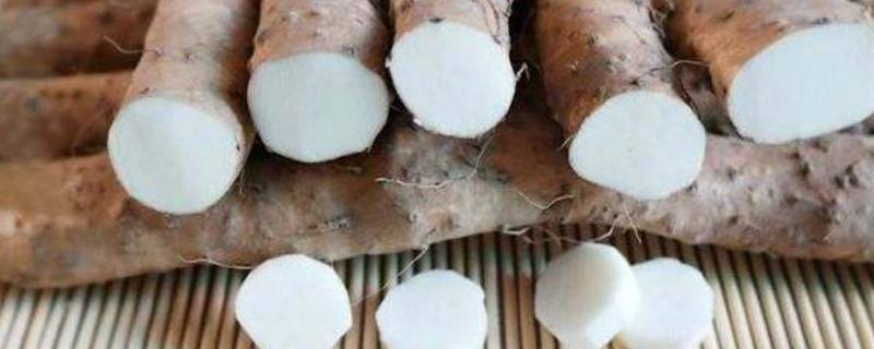 淮山怎么炒好吃又简单湘菜(淮山怎么炒不会变黑色)