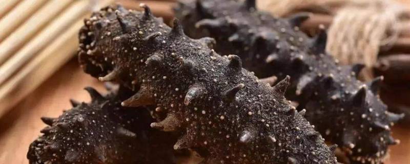 干海参泡发的正确方法图片大全(干海参泡发的正确方法图解)